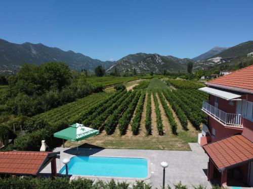a view of a vineyard from a house at Apartment Baba Nevenka - MKA526 by Interhome in Vrgorac