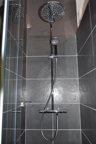 une douche avec pommeau de douche dans une salle de bain dans l'établissement LE NID DES HALLES, au cœur du Boulingrin, à Reims