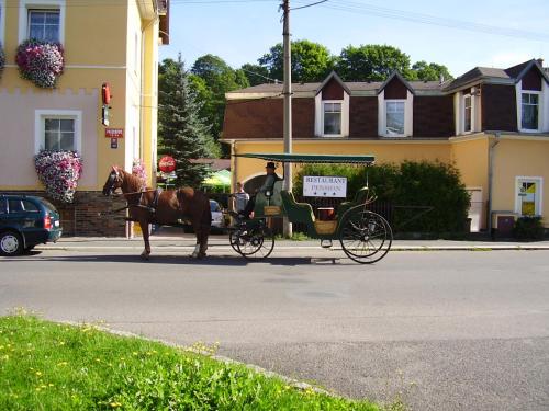 a horse drawn carriage on a city street at Penzion U Antonickova Pramene in Mariánské Lázně