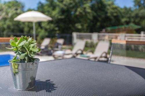 a potted plant sitting on a table near a pool at Holiday home Čančar by SeeAdria Agency in Fiorini