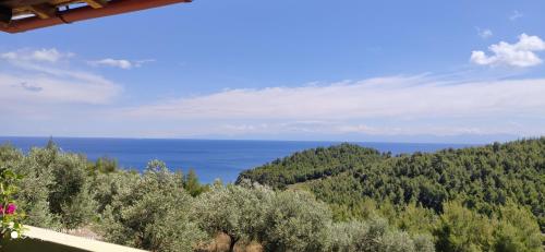 Φωτογραφία από το άλμπουμ του Elia house 2 astoning view among the olive trees στη Μηλιά