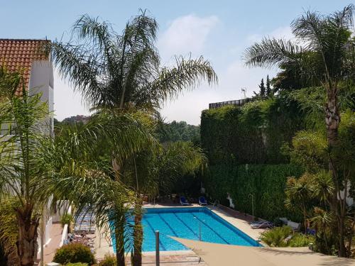 a swimming pool with palm trees next to a building at LA MAESTRANZA in Marbella