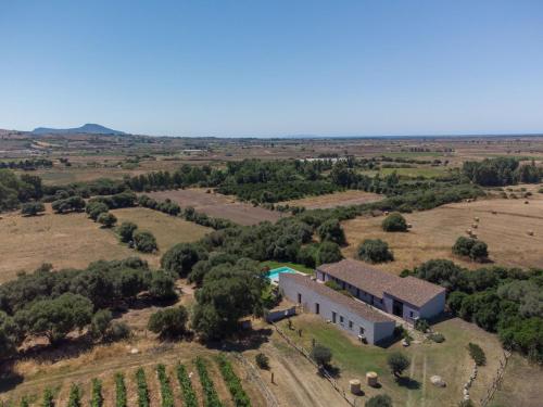 widok z powietrza budynku w polu w obiekcie Holiday Home Oliviola by Interhome w mieście Santa Maria