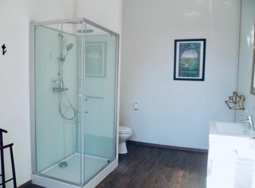 een glazen douche in een badkamer met een toilet bij Château du Mesnil Soleil , gites et chambres d'hôtes in Damblainville