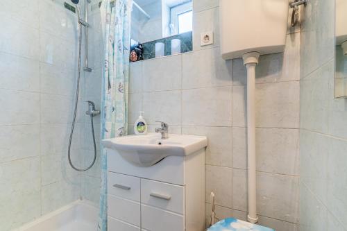 ein Bad mit einem Waschbecken und einer Dusche in der Unterkunft Soba Cres in Cres