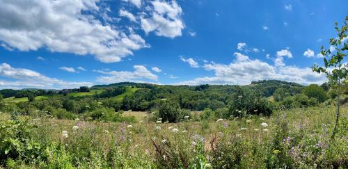 a field of flowers in the middle of a field at La Belle Petite Ferme Rosiers de Julliac 19350 in Les Bos