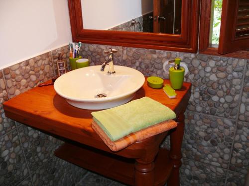 a bathroom counter with a sink and a mirror at Zopango Orchids Island in Isletas de Granada