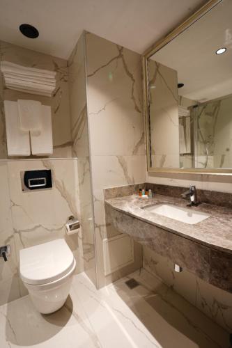 uma casa de banho com um WC, um lavatório e um espelho. em Mineo Hotel Taksim em Istambul