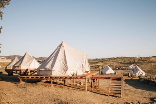 a group of tents in a field with mountains in the background at Lago Valle Wine Glamping in Valle de Guadalupe