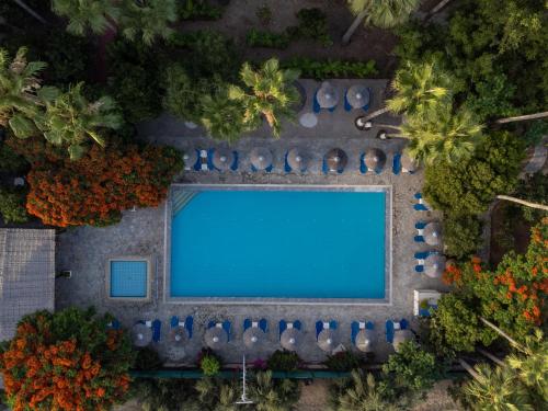an overhead view of a swimming pool with chairs and trees at Veronica Hotel in Paphos City