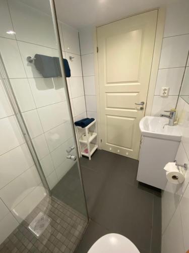 a bathroom with a shower and a toilet and a sink at Sukkertoppen Apartment in Ålesund