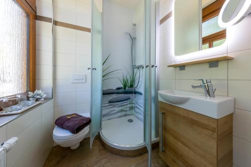 a bathroom with a shower and a toilet and a sink at Hotel zur Post in Schönheide