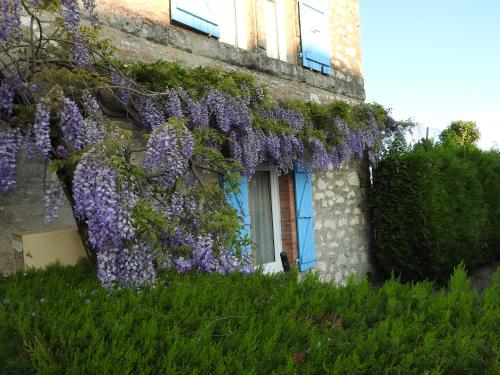 LA DAME FINES – Photos 2