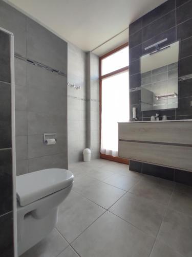 une salle de bain avec toilettes, lavabo et fenêtre dans l'établissement Hôtel Des Princes, à Amphion-les-Bains