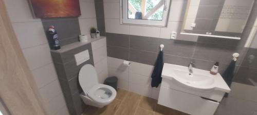 a bathroom with a toilet and a sink at Bungalov Silvie in Litoměřice