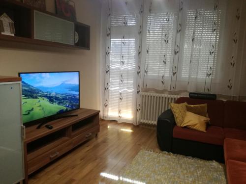 TV a/nebo společenská místnost v ubytování Erdei Szalonka Apartman