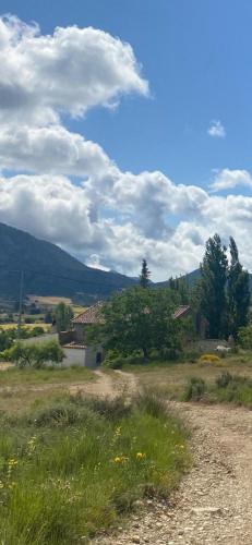 a dirt road with a field of grass and trees at Alojamiento Casa Veronica in Moratalla