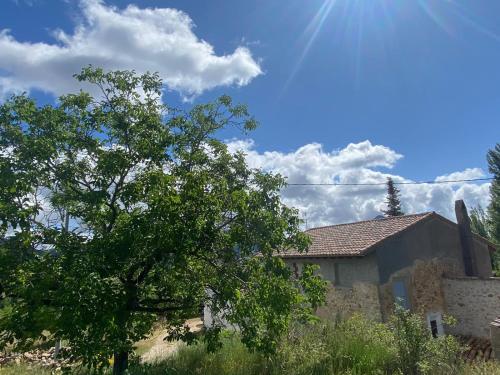 a tree in front of a house with the sky at Alojamiento Casa Veronica in Moratalla