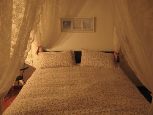a bedroom with a bed with curtains on it at La Biocca in Poggio Murella