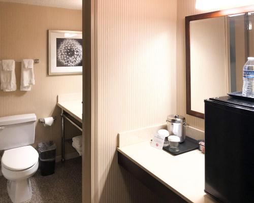 a bathroom with a toilet a sink and a mirror at Fort Pontchartrain Detroit, a Wyndham Hotel in Detroit