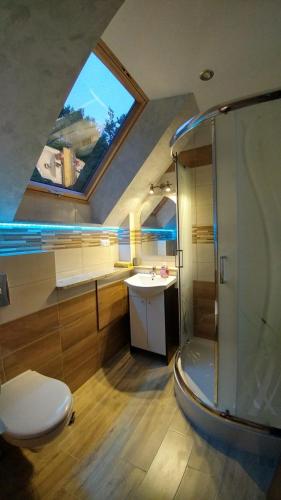 a bathroom with a shower and a toilet and a sink at Cypla Czar in Polańczyk