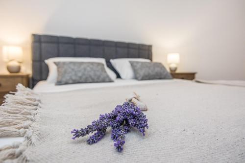 un montón de flores púrpuras sentadas encima de una cama en Apartments Maella, en Zadar