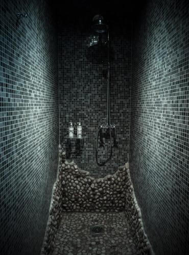 a bathroom with a shower in a tiled room at Hôtel Bella Tola & SPA in Saint-Luc