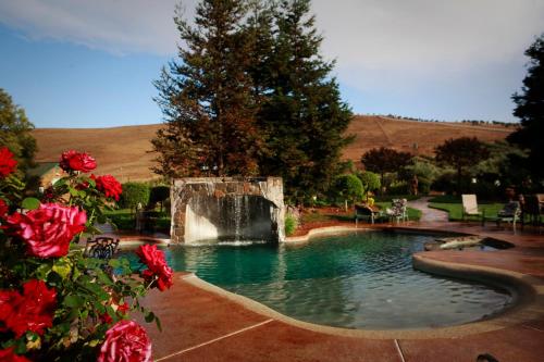 une piscine avec une cascade dans un jardin orné de roses rouges dans l'établissement Purple Orchid Resort & Spa, à Livermore