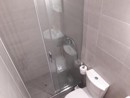 a bathroom with a shower and a white toilet at Christina Guest House in Mystras