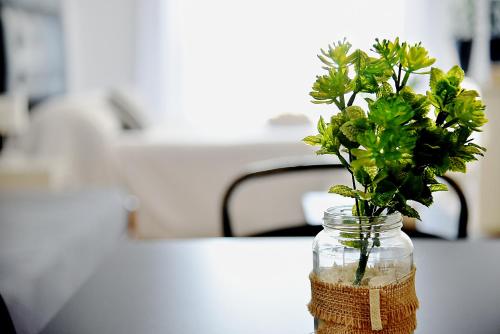 a glass jar with a plant in it on a table at Luminosos y modernos departamentos en Rosario in Rosario