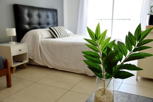 a bedroom with a bed and a plant in a vase at Luminosos y modernos departamentos en Rosario in Rosario
