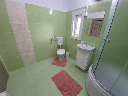 a green bathroom with a toilet and a shower at Casa De Oaspeti Anna in Sovata