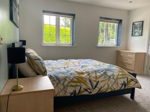 a bedroom with a bed and a dresser and two windows at Relaxing Retreat Around Nature in Wrexham
