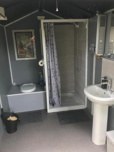 a bathroom with a shower and a toilet and a sink at Garden County Glamping in Newtown Mount Kennedy