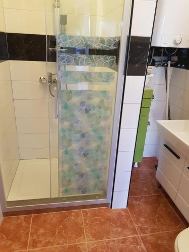 a shower with a glass door in a bathroom at Hana in Umag