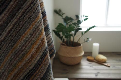 a plant sitting on a table next to a window at Granastaðir Guesthouse in Granastaðir