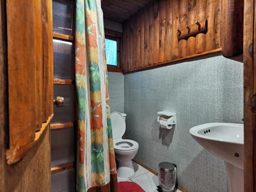 a small bathroom with a toilet and a sink at Salto del Indio - Cabañas Lemunantu in Manzanar