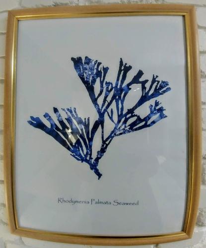 a framed picture of a tree painted in blue at Bay House Motel in Bateau Bay