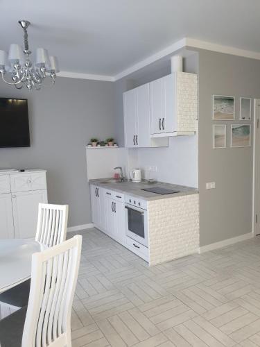Η κουζίνα ή μικρή κουζίνα στο Luxury Apartments Park Fontanov