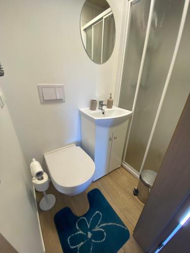 a bathroom with a toilet and a sink and a mirror at Apartamentai su terasa in Palanga