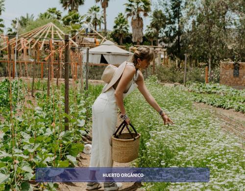 Entre Viñedos by Hotel Boutique Valle de Guadalupeの宿泊客