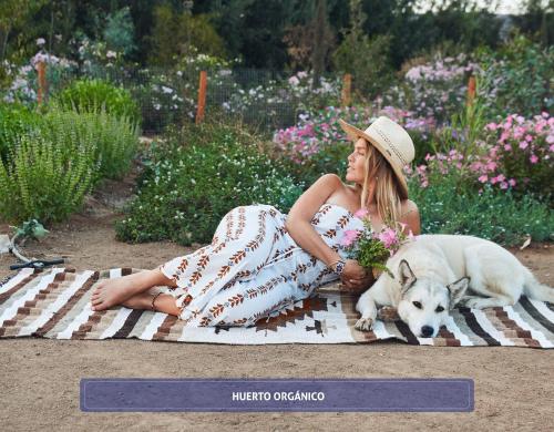 宿泊客と一緒にEntre Viñedos by Hotel Boutique Valle de Guadalupeに滞在中のペット