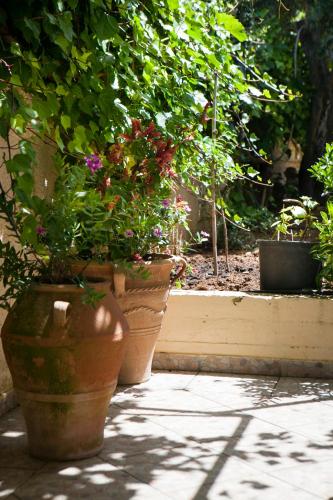 a group of potted plants sitting on a patio at Tzivras Villa & Apartments in Lassi