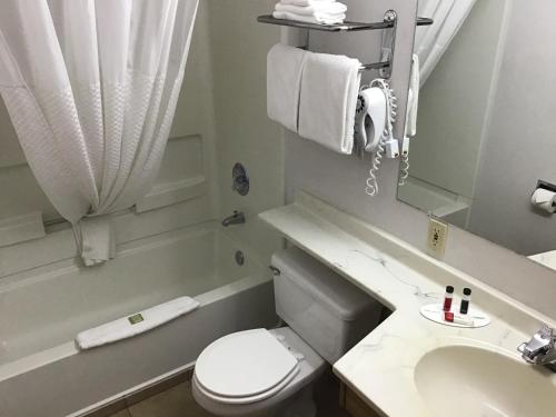 La salle de bains blanche est pourvue de toilettes et d'un lavabo. dans l'établissement Super 8 by Wyndham Walla Walla, à Walla Walla