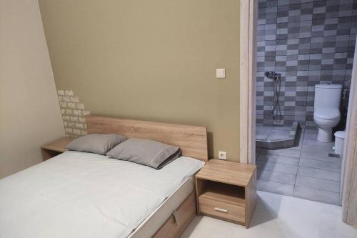 a bedroom with a bed and a bathroom with a toilet at Kilkis Paradise in Kilkís
