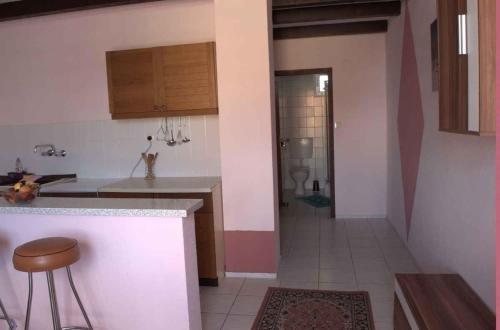a kitchen with a counter and a sink and a bathroom at Apartments in Silo/Insel Krk 14530 in Šilo