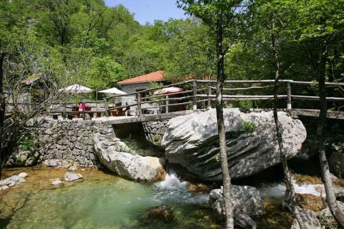 Apartment in Starigrad-Paklenica 6806