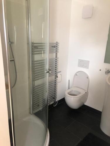 La salle de bains est pourvue de toilettes et d'une douche en verre. dans l'établissement Loft Dachsberg, à Krems an der Donau