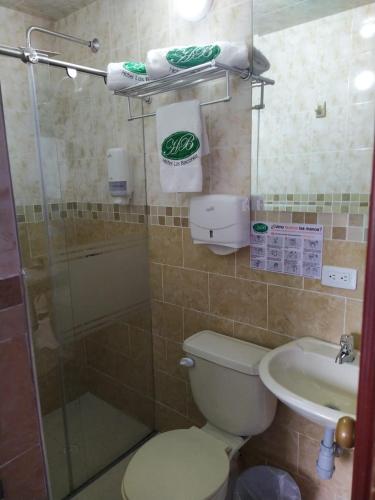 a bathroom with a shower and a toilet and a sink at HOTEL LOS BALCONES in Bogotá