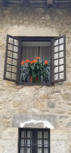 a window with a pot of flowers on a building at Hospedaje Octavio in Santillana del Mar